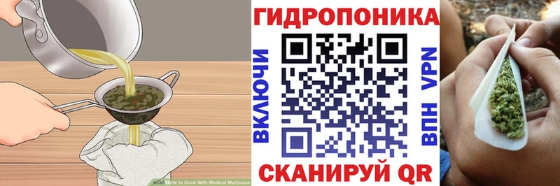 гидра ссылки  купить  сайты  Шагонар  Canna-Cookies конопля 