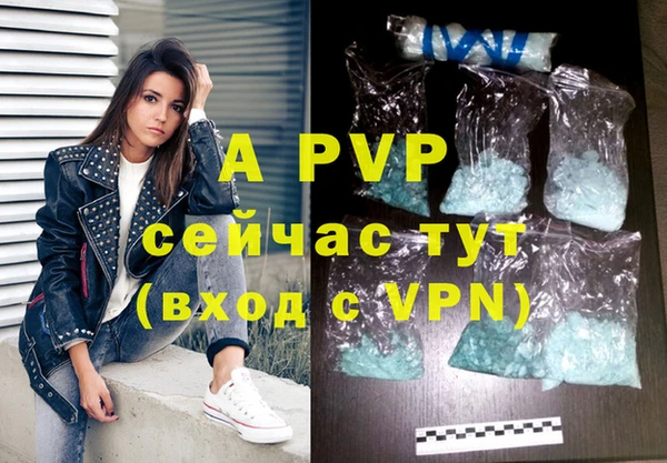 индика Белоозёрский