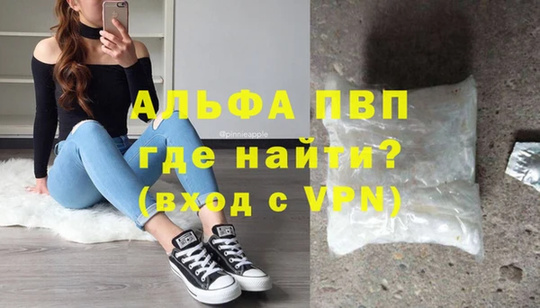 индика Белоозёрский