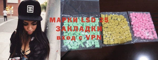 индика Белоозёрский
