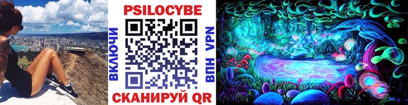 Галлюциногенные грибы Psilocybe  blacksprut как войти  Шагонар 