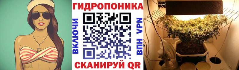 Марихуана сатива  даркнет сайт  Шагонар 